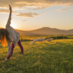 Person doing yoga in a field by Crystal Chappell
