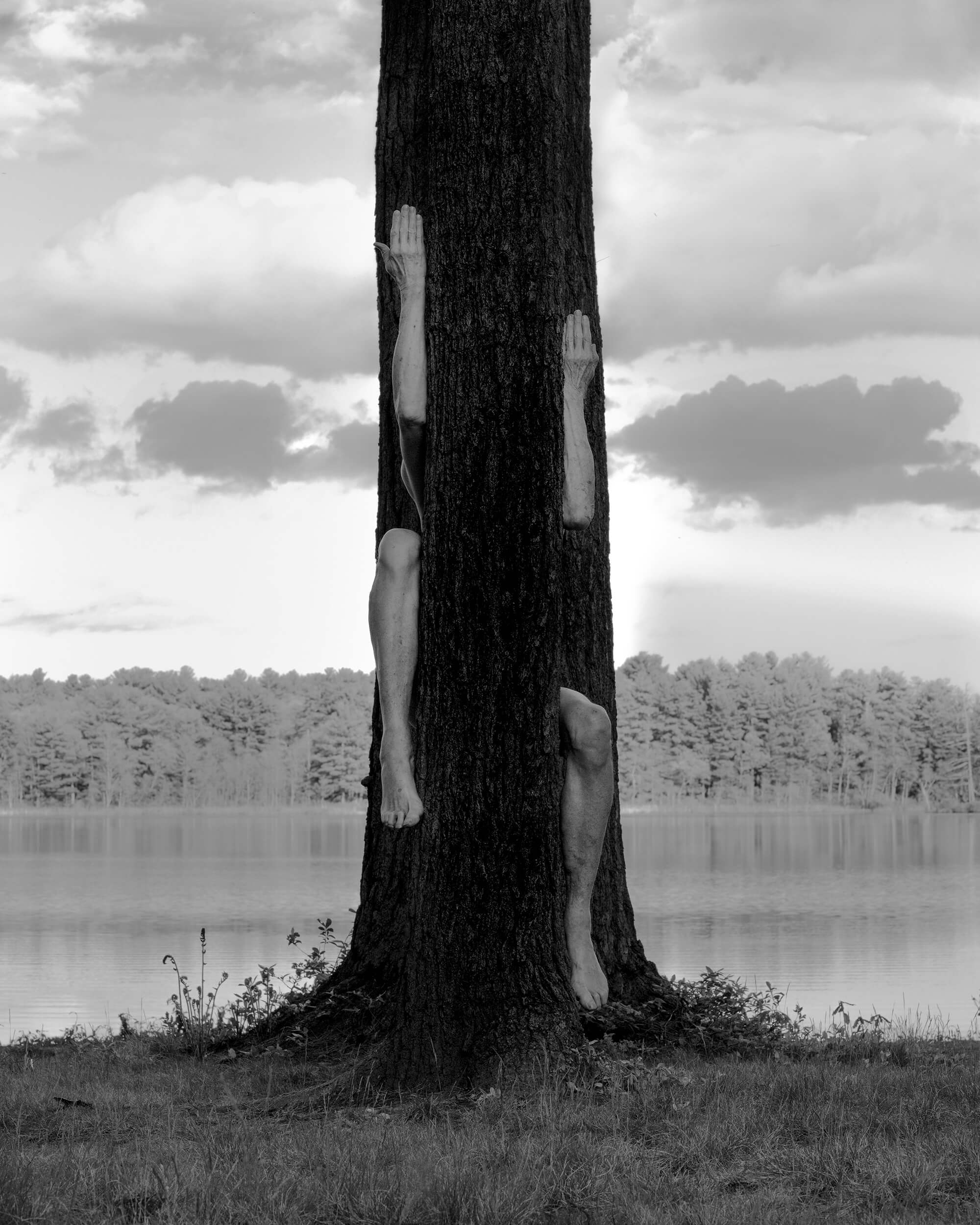 Tree Climber, Fosters Pond, 2022 by Arno Rafael Minkkinen.