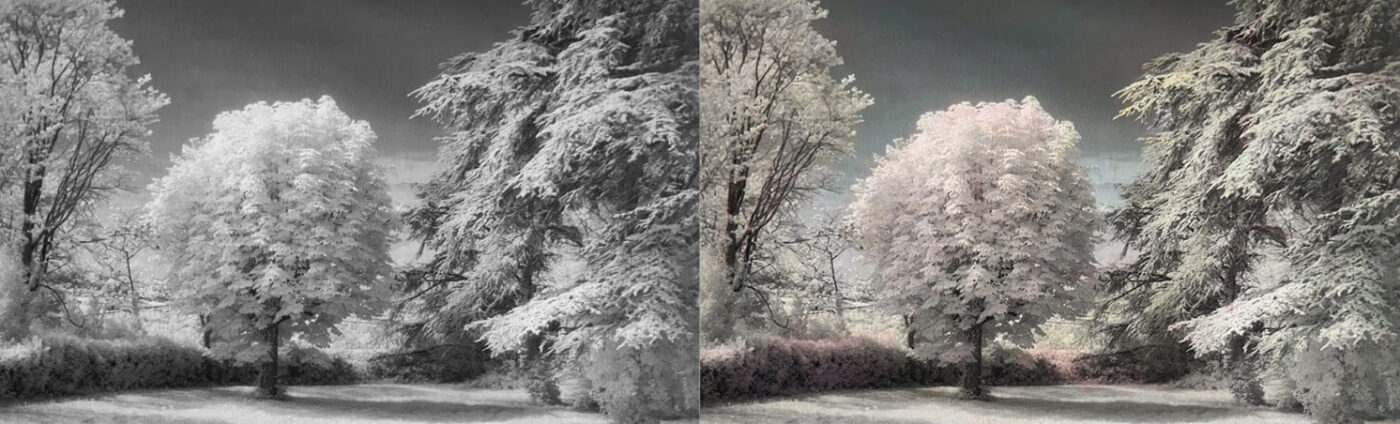 Hand colored photography before and after (banner) - by Laurie Klein