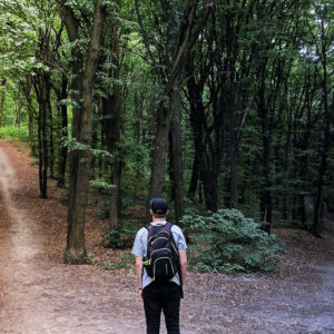 Man faced with 2 different forest paths to go on