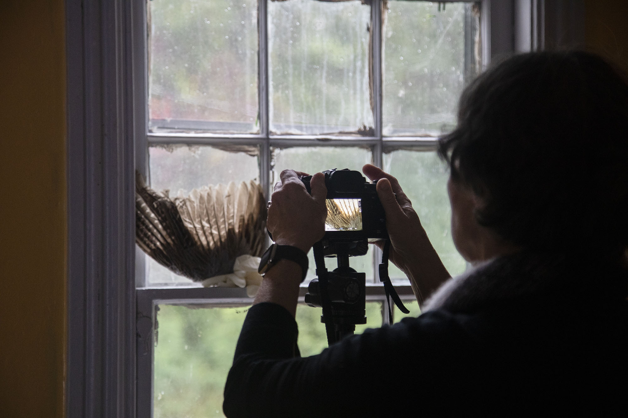 Student taking a photograph of a birds wing in the Lyrical Photograph workshop