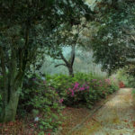 Photo of Charleston Path using an iPhone By Susan Bloom