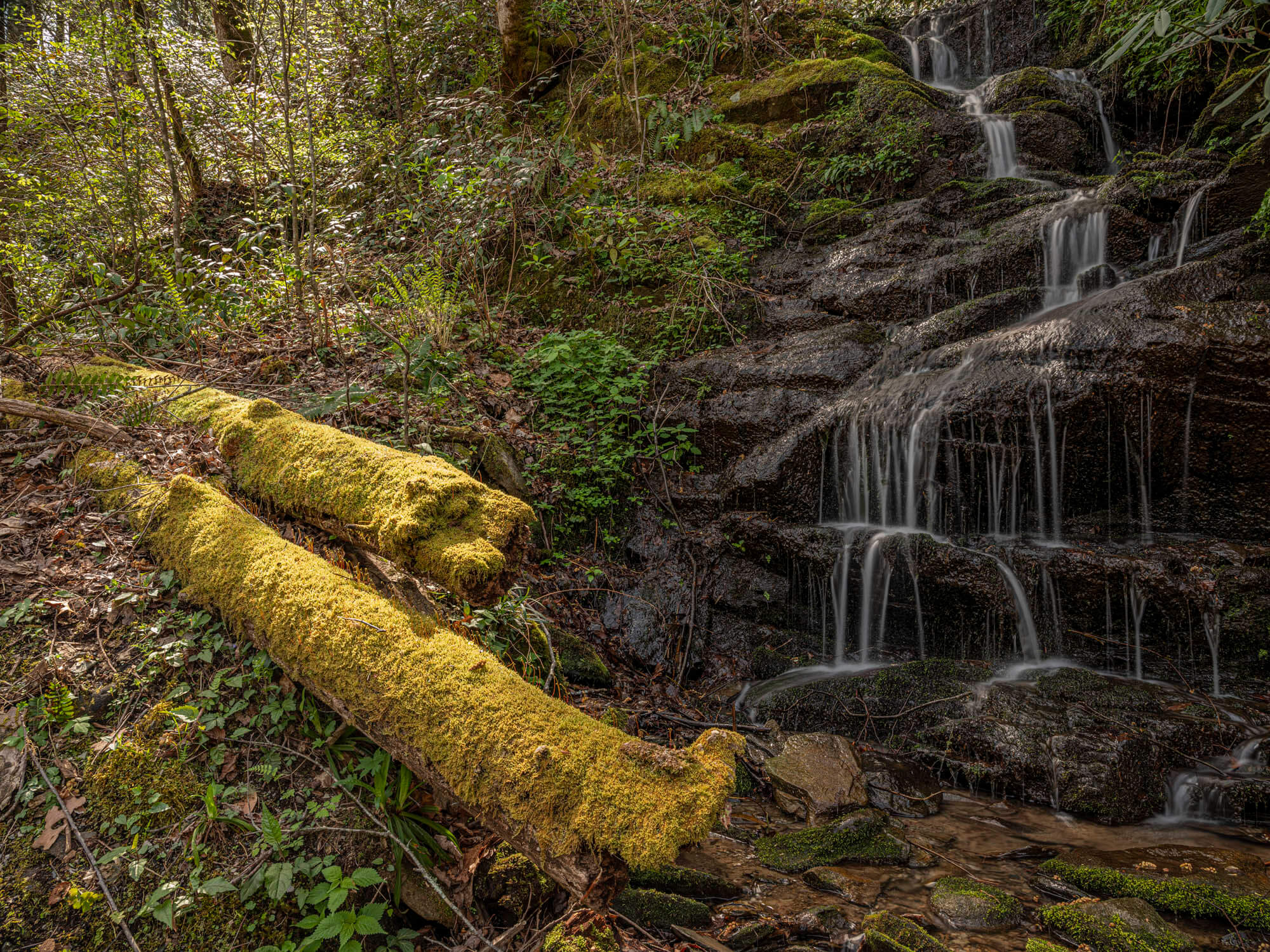 BFC EV Two Logs and Small FAlls 1.1 f14.8 (Great Smoky Mountains) - By Tillman Crane
