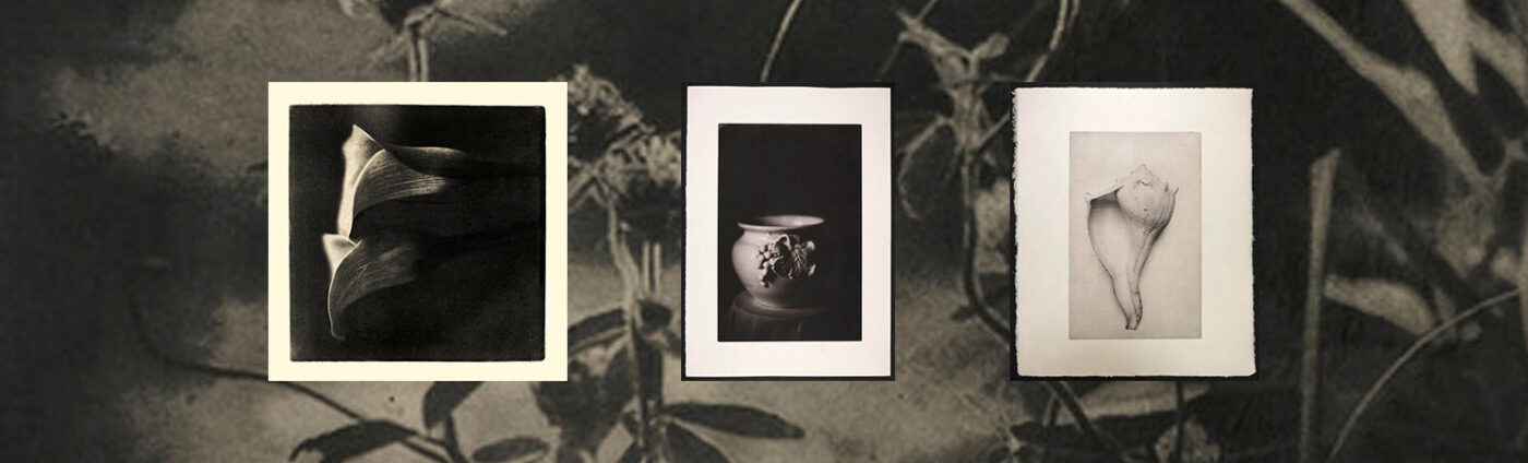 Introduction to Polymer Photogravure (banner) - By Jeanna Wells