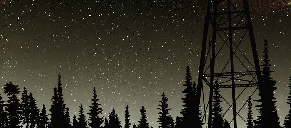 Pine trees silhouette with starry night background