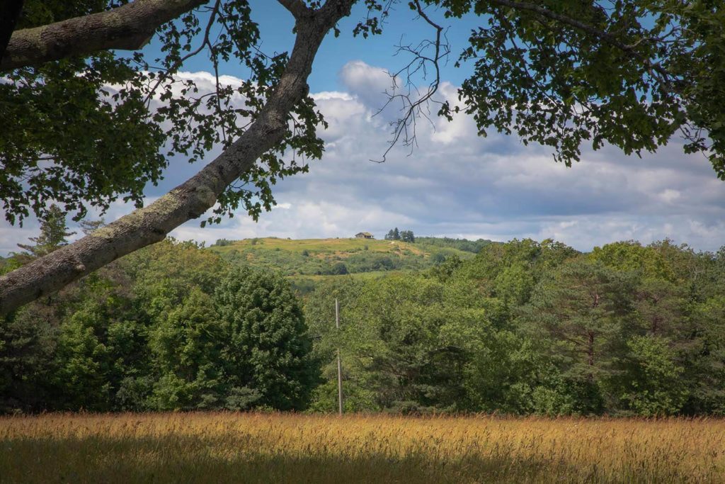 Photo of Beech Hill Preserve, Maine, in the summer