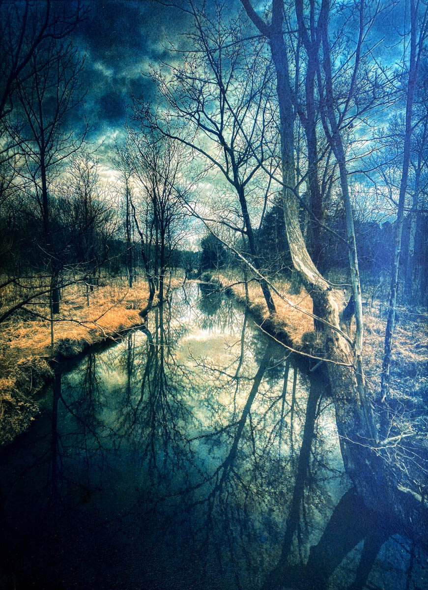 Brumley Nature Preserve (Tricolor gum bichromate over cyanotype) - By Diana Bloomfield