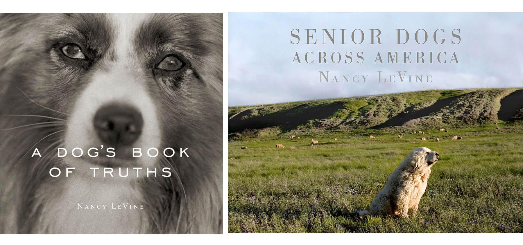 Dog Photography books - by Nancy LeVine