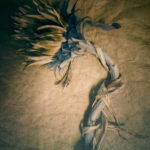Sunflower (Tricolor gum bichromate over cyanotype) - By Diana Bloomfield