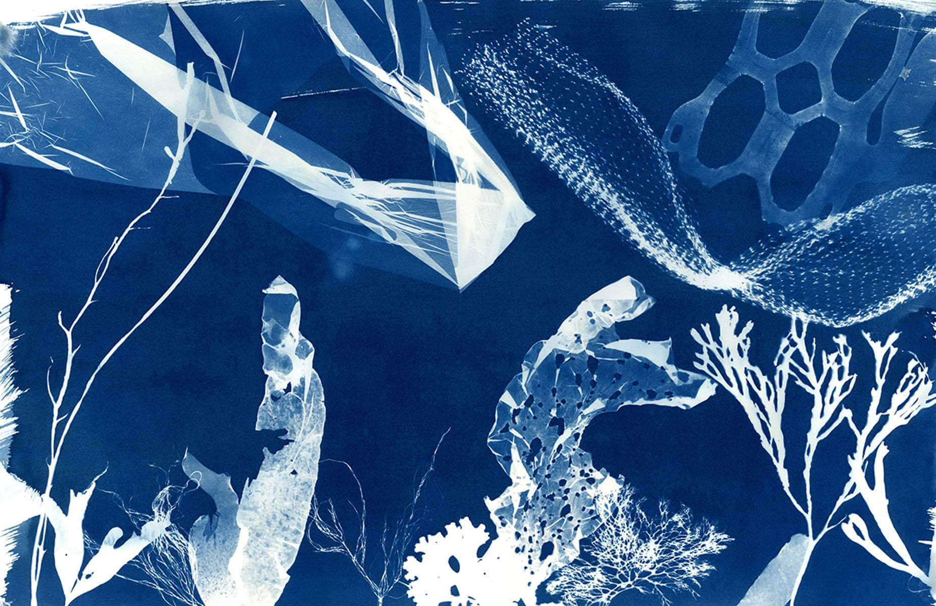 Cyanotype books online, making wonderful patterns