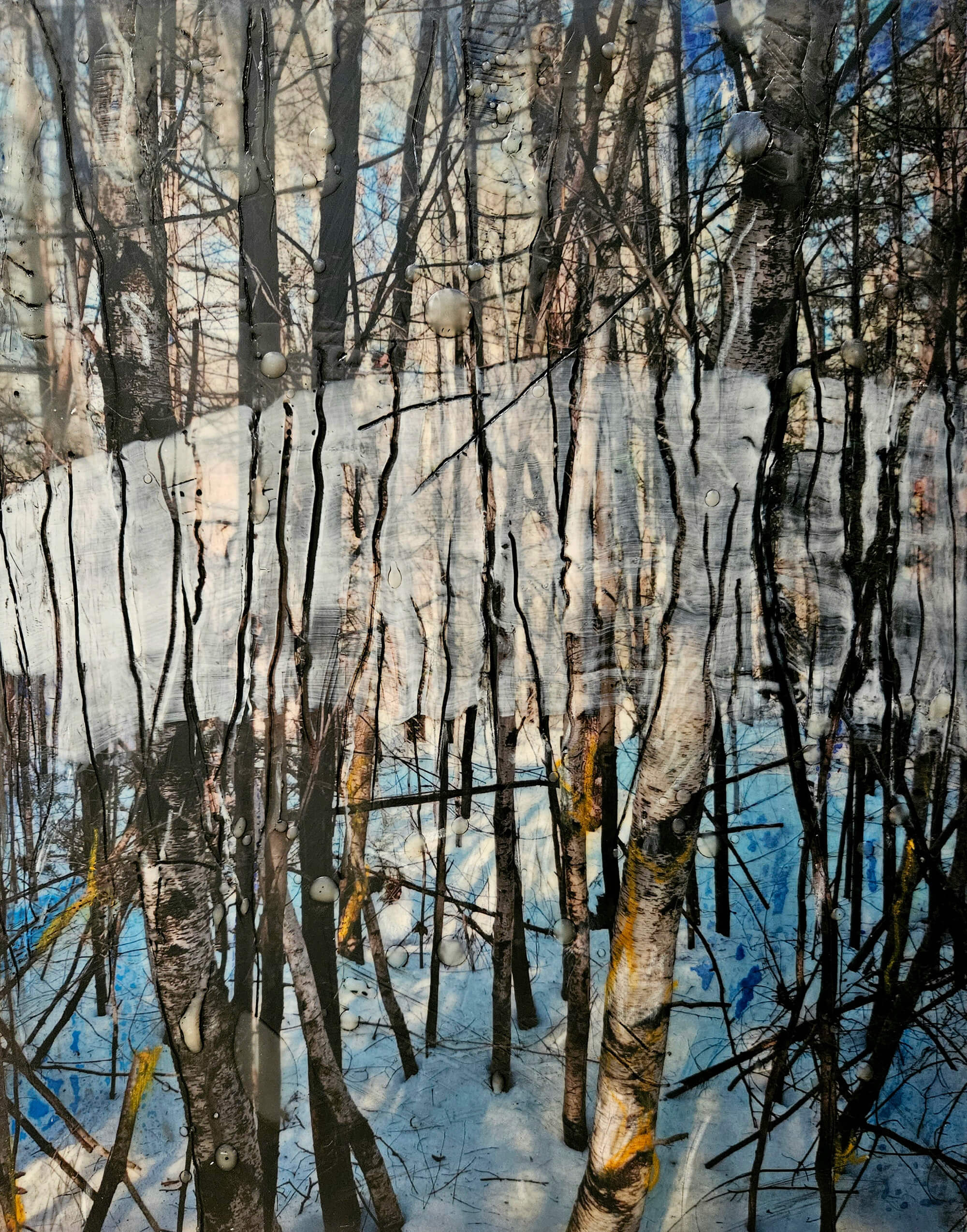 Through the Trees by Diane Bowie Zaitlin_mixed media encaustic_10x8