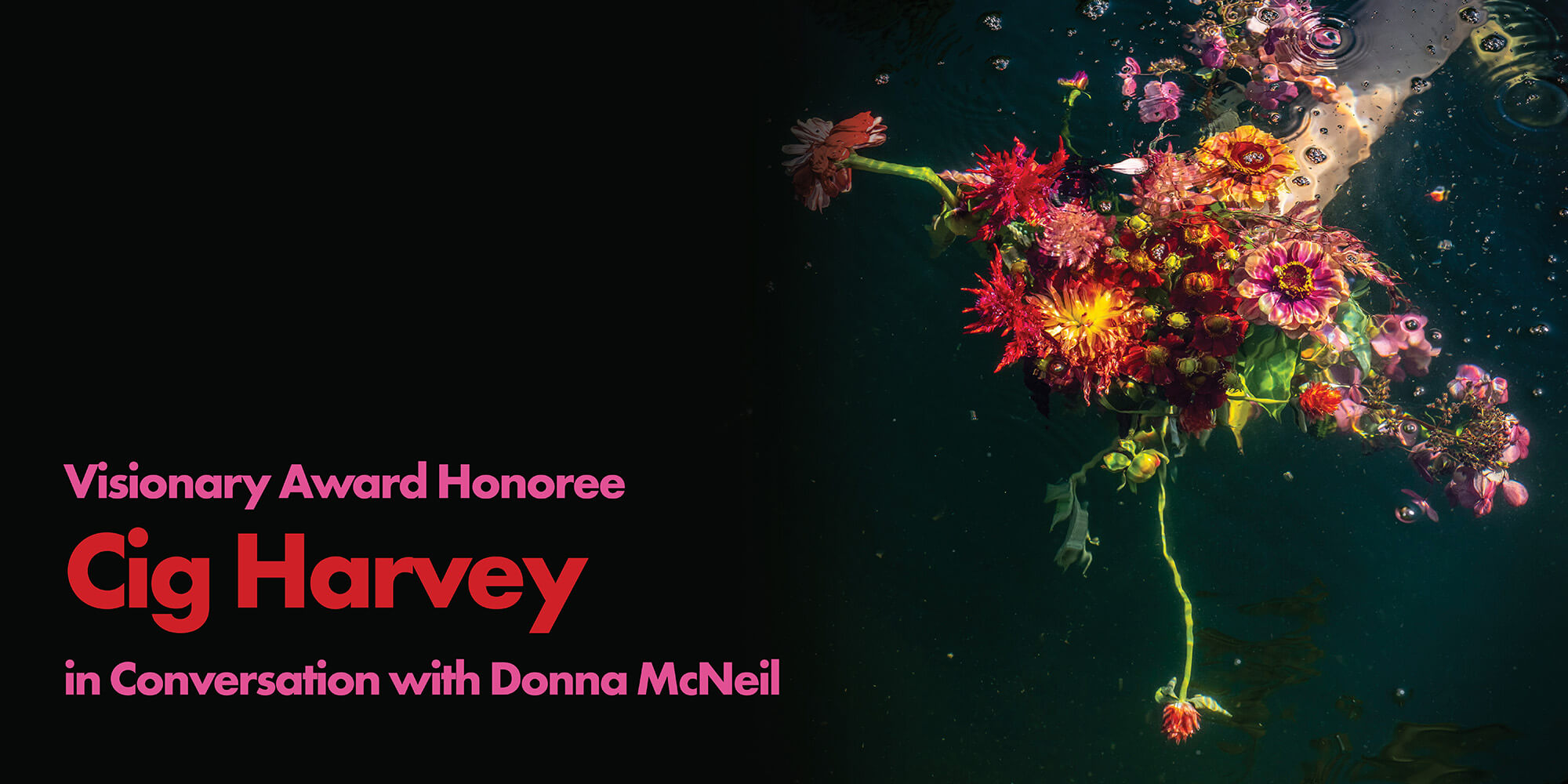 Cig Harvey in Conversation with Donna McNeil