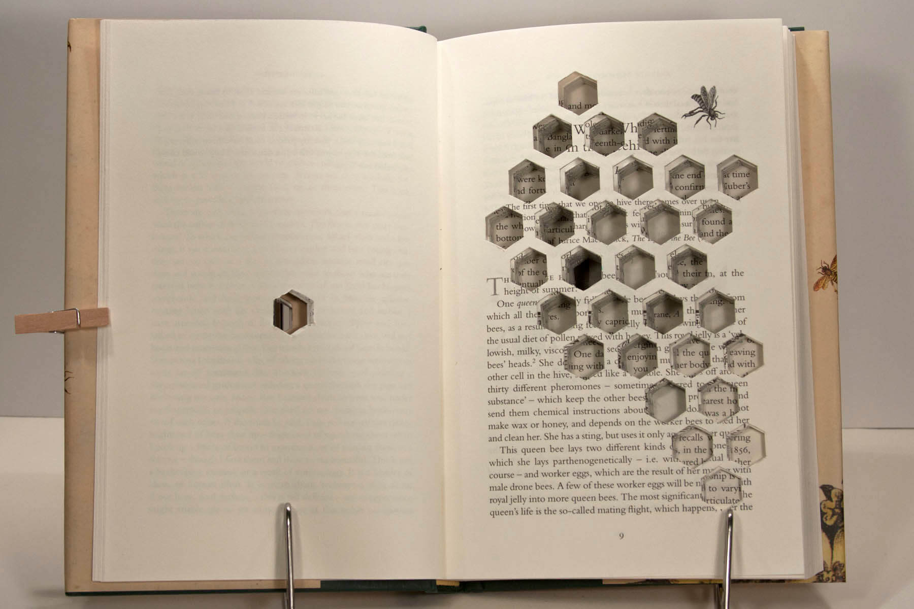 Altered Books - Bee hive Altered Book - by Mary Uthuppuru