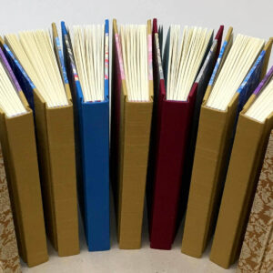 Full-Cloth Case Bindings Online with Suzanne Glemot - row of books