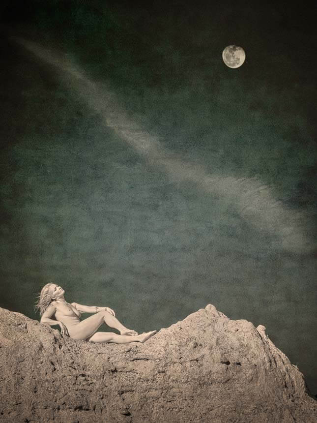 Moon Gazer by Shelley Vandegrift.