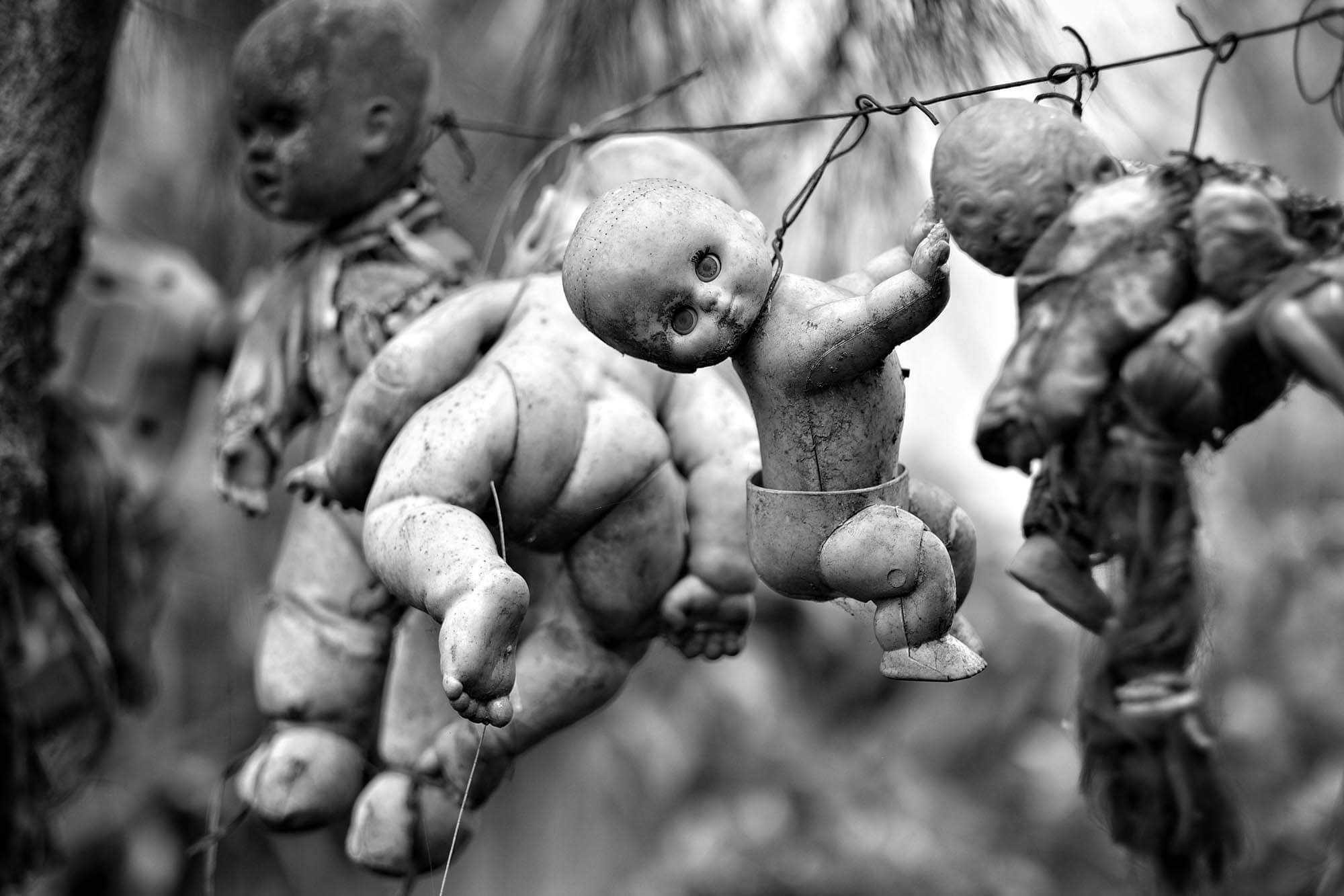 La Isla de las Muñecas (Island of Dolls) from the Death in Mexico series - By David Brommer