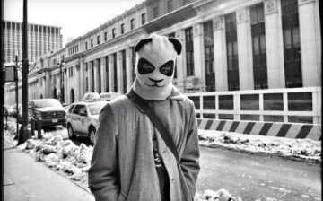 Street Panda, Winter NYC - By David Brommer